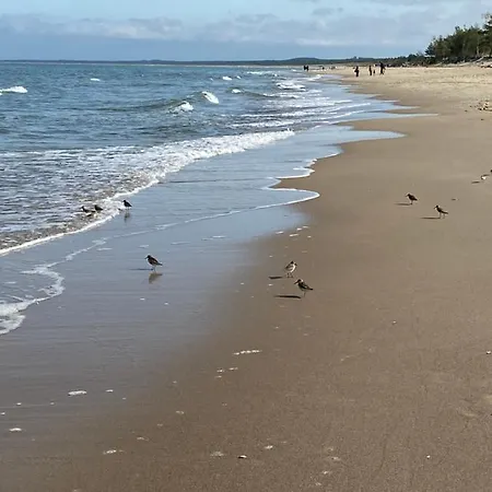 Zen Lägenhet Sobieszewo