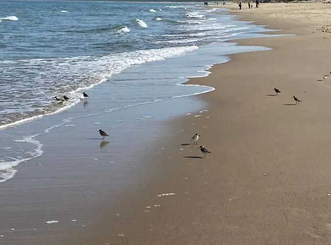 Zen Lejlighed Sobieszewo